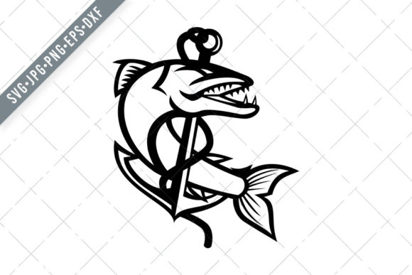 Barracuda Coiling with Rope and Anchor Graphics & Illustrations