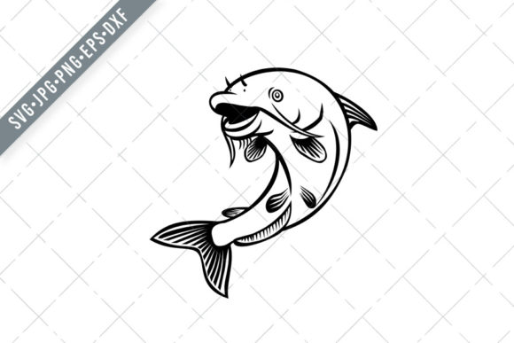 Blue Catfish Ictalurus Furcatus Jumping Review