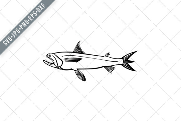 Bombay Duck Fish Harpadon Nehereus Graphics for Creators
