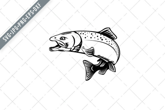 Chinook Salmon Oncorhynchus Tshawytscha Graphics for Publishers
