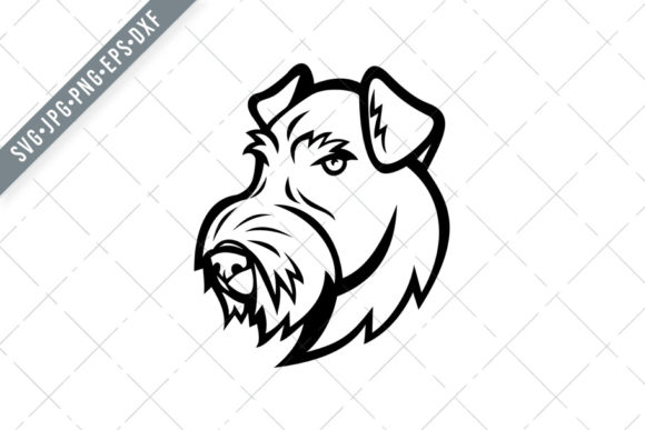Head of Airedale Terrier Bingley Terrier Graphics and Illustrations