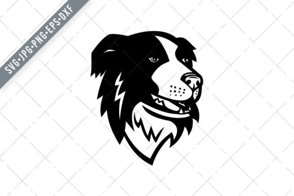 Head of Border Collie Scottish Sheepdog Graphics and Illustrations