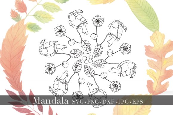 Mandala - Bird Tropical Forest Review