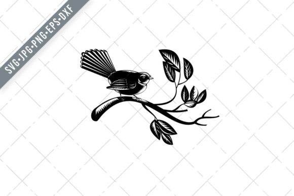 New Zealand Fantail Bird Graphics and Illustrations Review