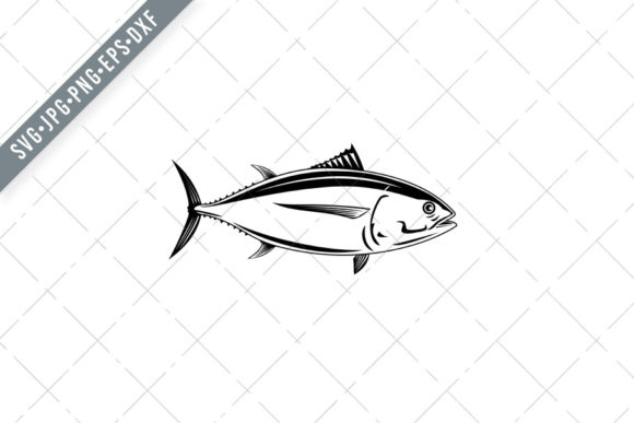 Pacific Albacore Thunnus Alalunga Graphics and Illustrations Review