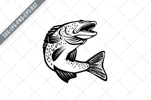 Walleye Pikeperch Pickerel Graphics and Illustrations Review