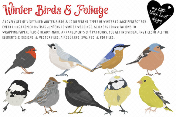 Winter Birds and Foliage: A Graphic Design Asset Review